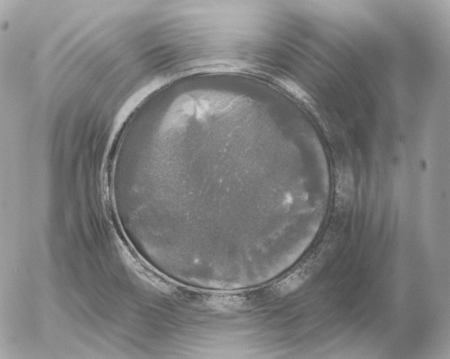 X0000052631466200507221737