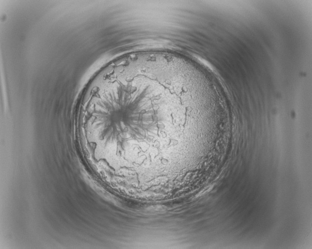 X0000052631467200507221737