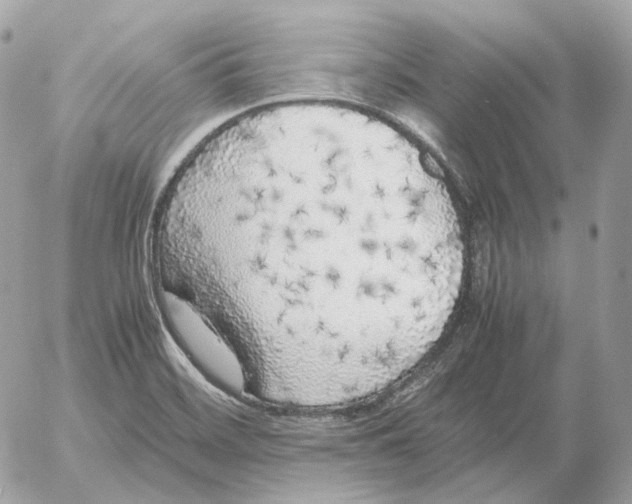 X0000052631468200507221737