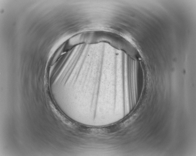 X0000052631469200507221737