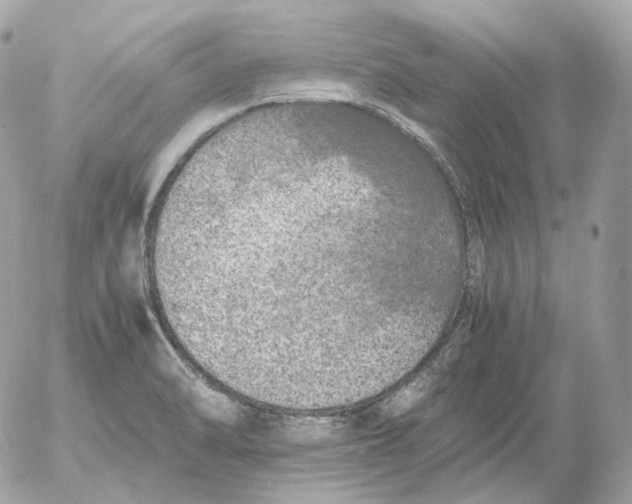 X0000052631470200507221737