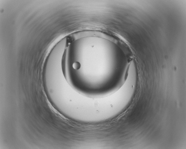 X0000052631471200507221737