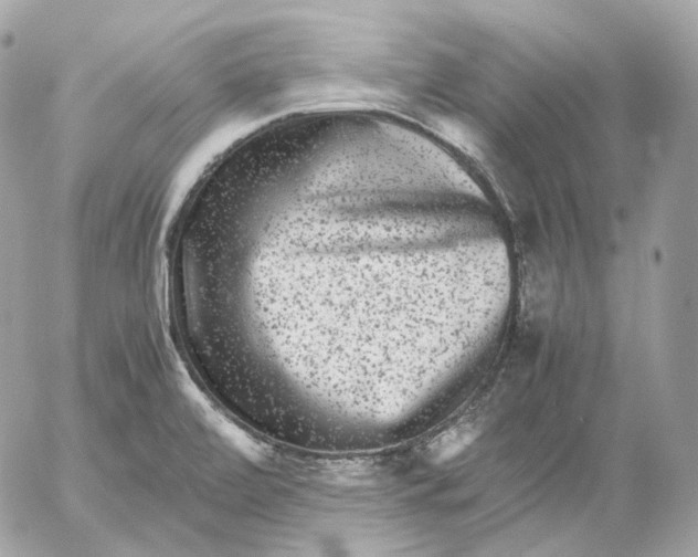 X0000052631472200507221737