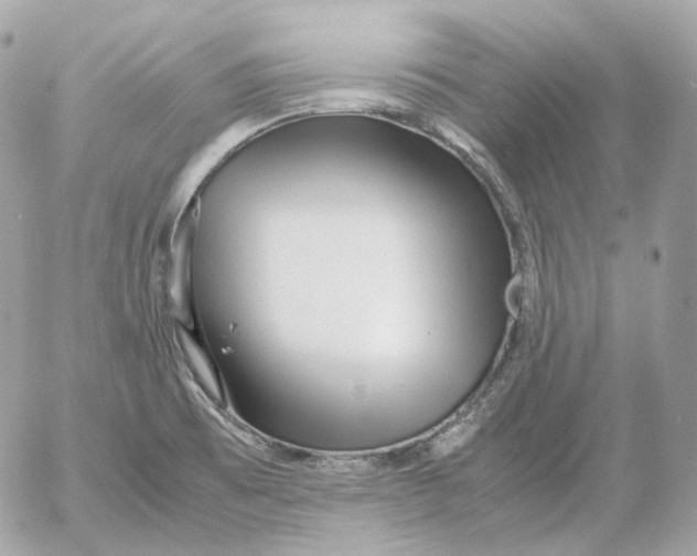 X0000052631473200507221737