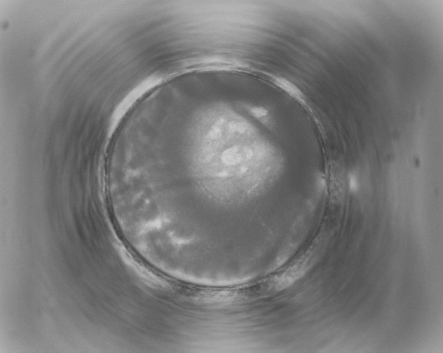 X0000052631474200507221737