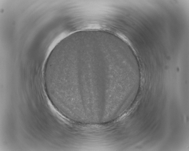 X0000052631475200507221737