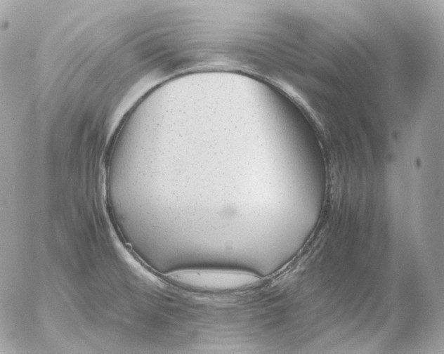 X0000052631476200507221737