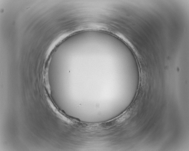 X0000052631477200507221737