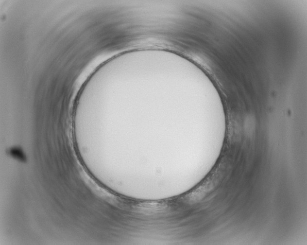 X0000052631478200507221737