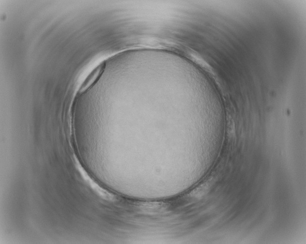 X0000052631479200507221737