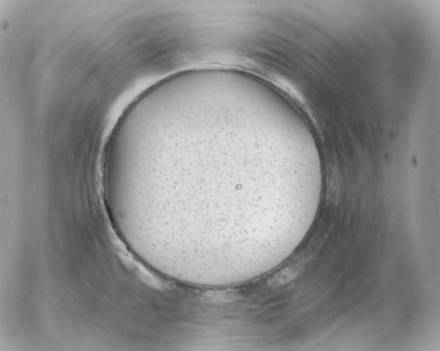 X0000052631480200507221737