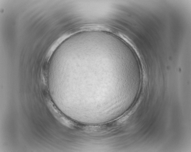 X0000052631481200507221737