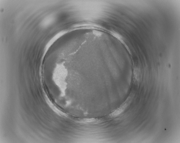 X0000052631482200507221737