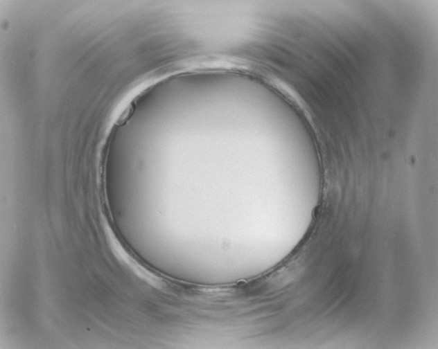 X0000052631483200507221737