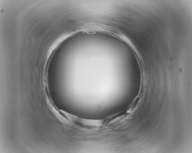 X0000052631485200507221737