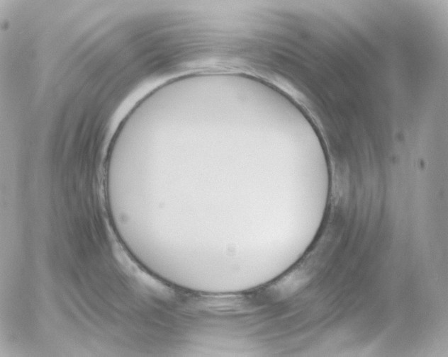 X0000052631486200507221737