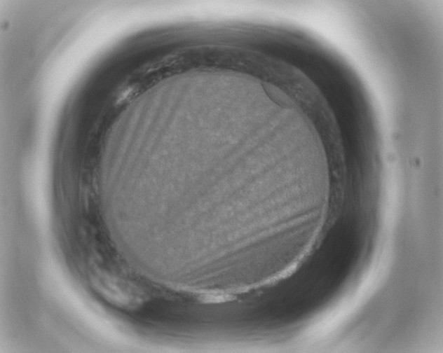 X0000052631487200507221737