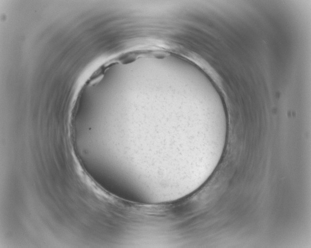 X0000052631488200507221737