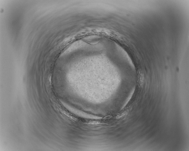 X0000052631489200507221736