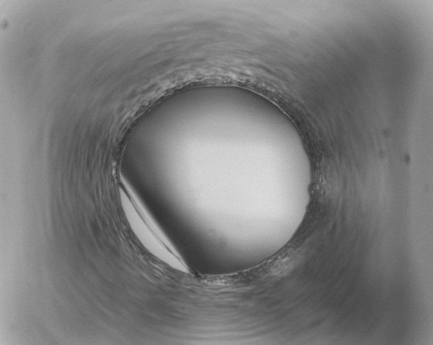 X0000052631490200507221736