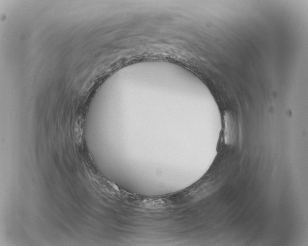 X0000052631491200507221736