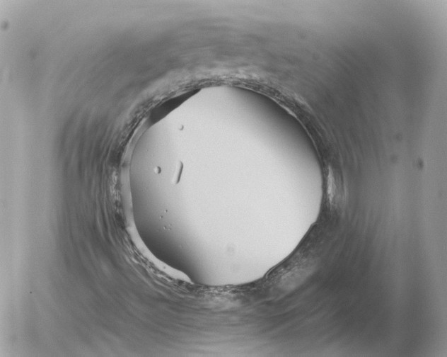 X0000052631492200507221736