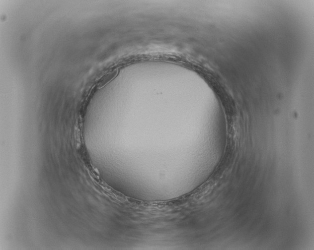 X0000052631493200507221736