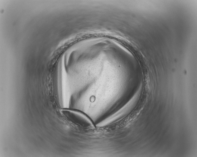 X0000052631494200507221736