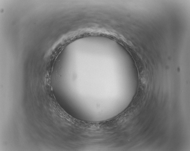 X0000052631495200507221736