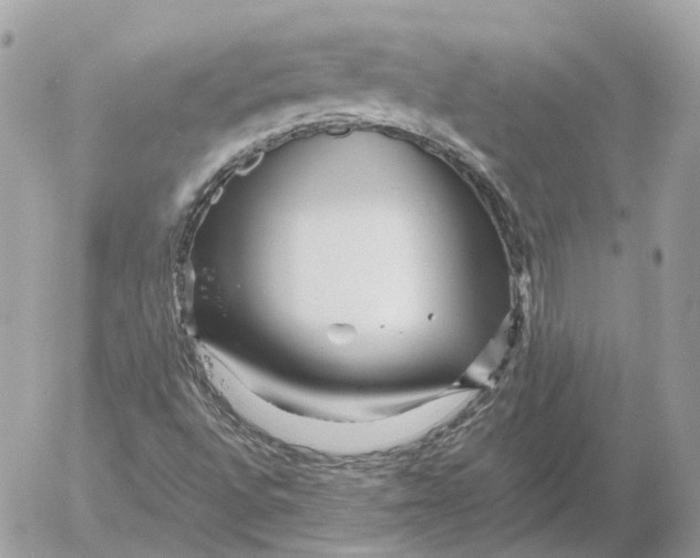 X0000052631496200507221736