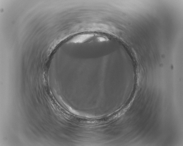 X0000052631497200507221736