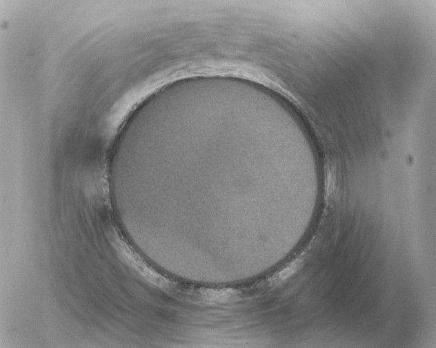 X0000052631498200507221736