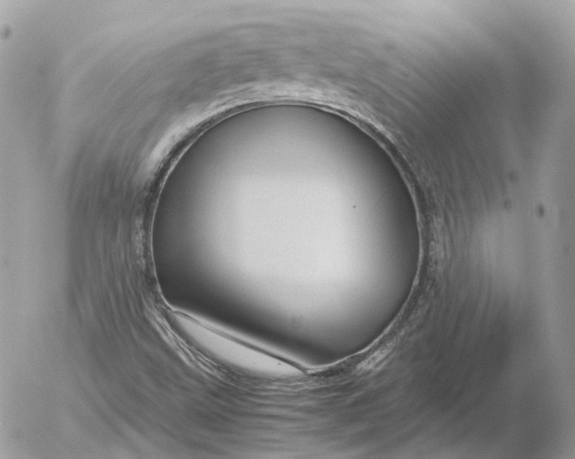 X0000052631499200507221736