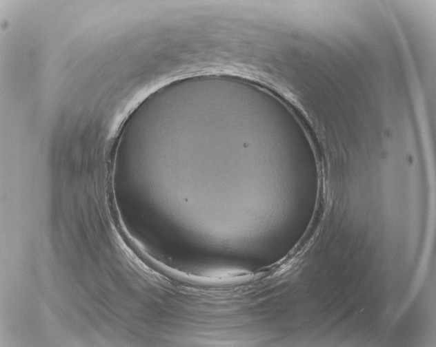 X0000052631500200507221737