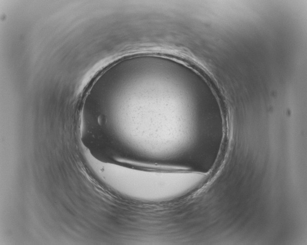 X0000052631501200507221737