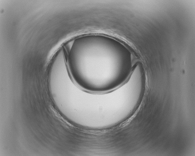 X0000052631502200507221737