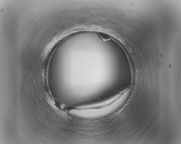 X0000052631503200507221737