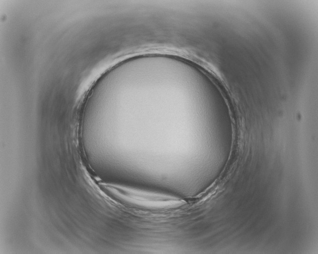 X0000052631504200507221737