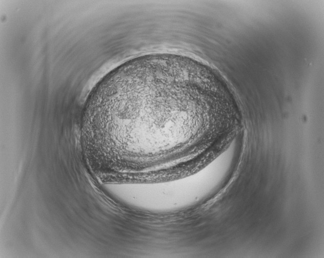 X0000052631505200507221737