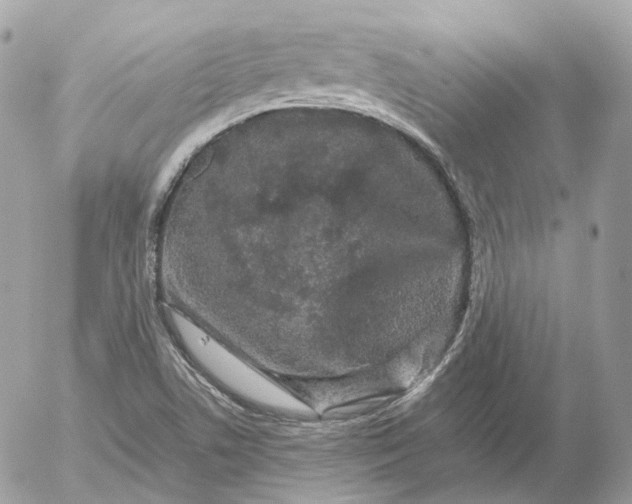 X0000052631506200507221737