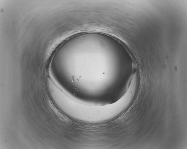 X0000052631507200507221737