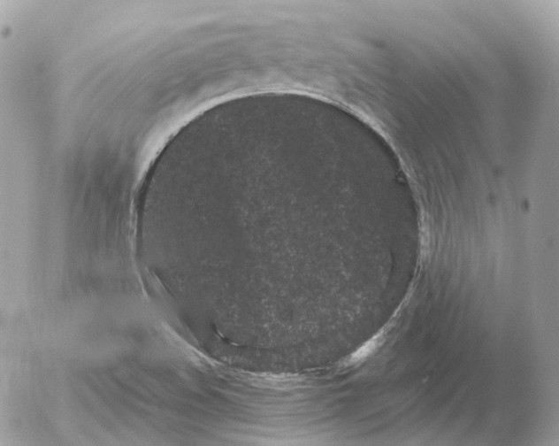 X0000052631508200507221737