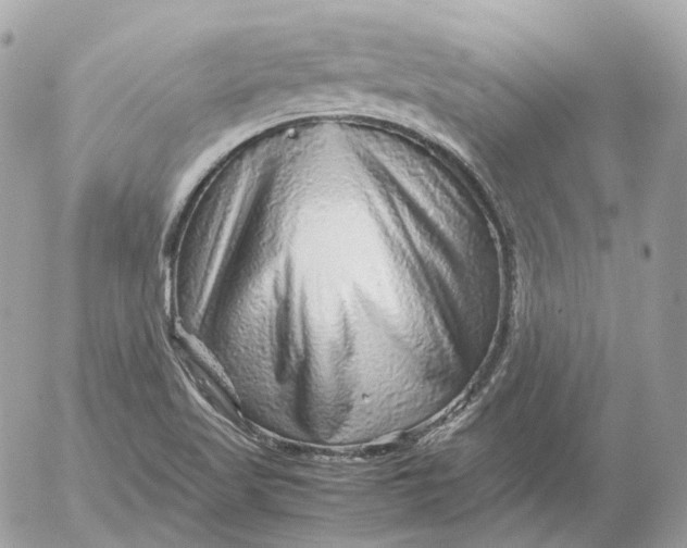 X0000052631509200507221737