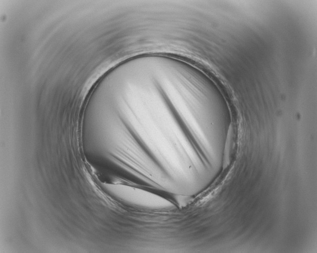 X0000052631513200507221737