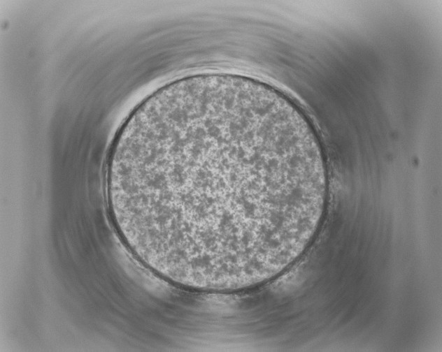 X0000052631514200507221737