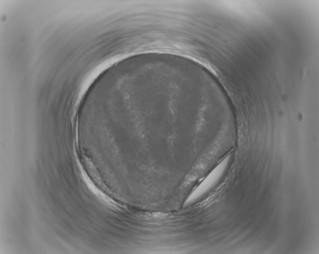 X0000052631515200507221737