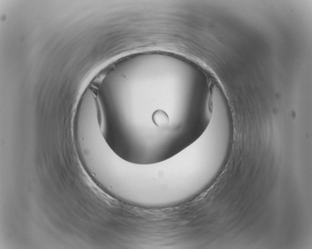 X0000052631516200507221737