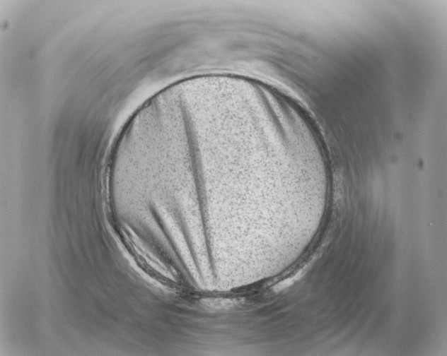 X0000052631517200507221737