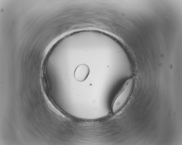 X0000052631518200507221737