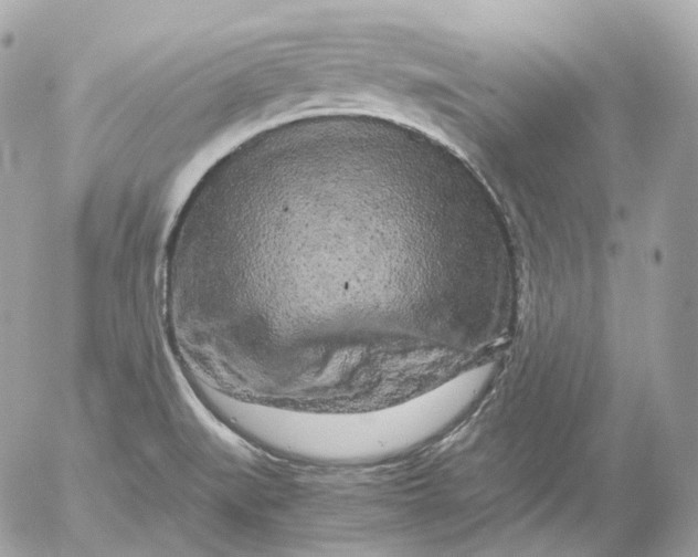 X0000052631519200507221737